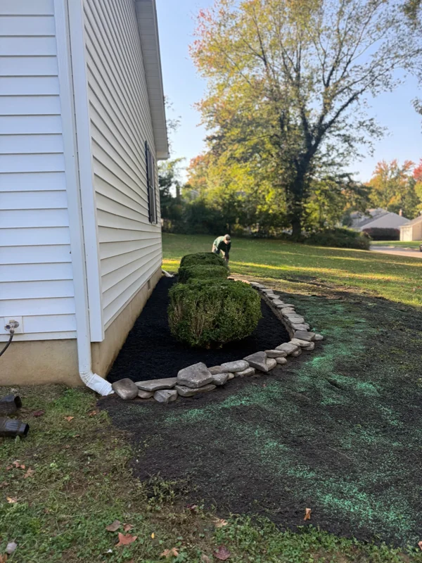 Curved mulch bed with shrubs and stone edging beside a house