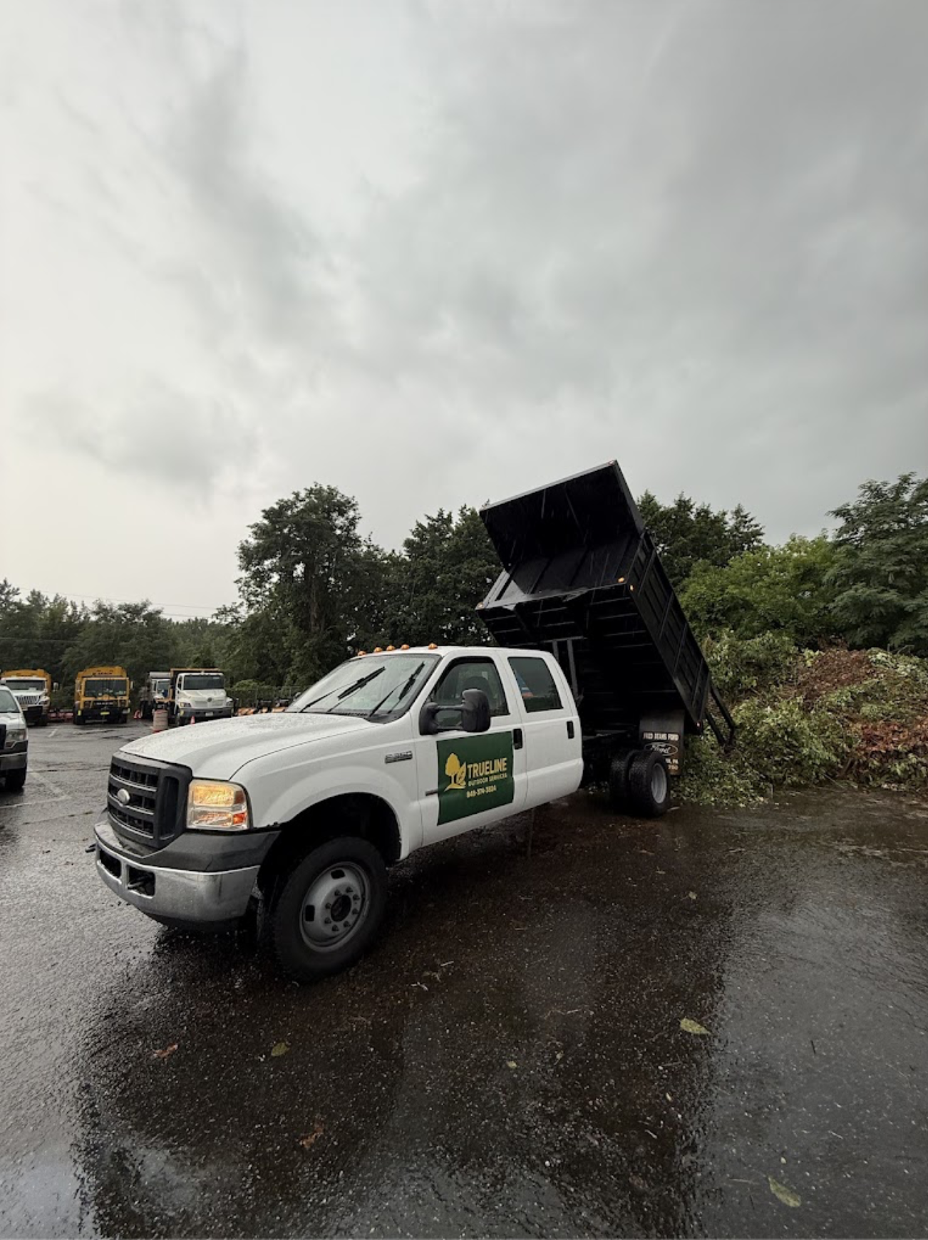 TrueLine Outdoor Services LLC dump truck unloading yard debris