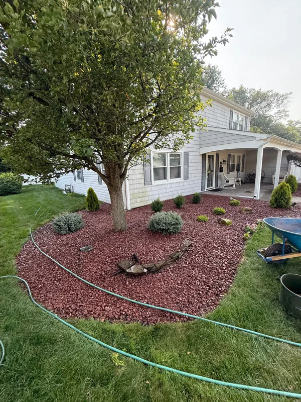 Red stone planting bed with shrubs around a tree