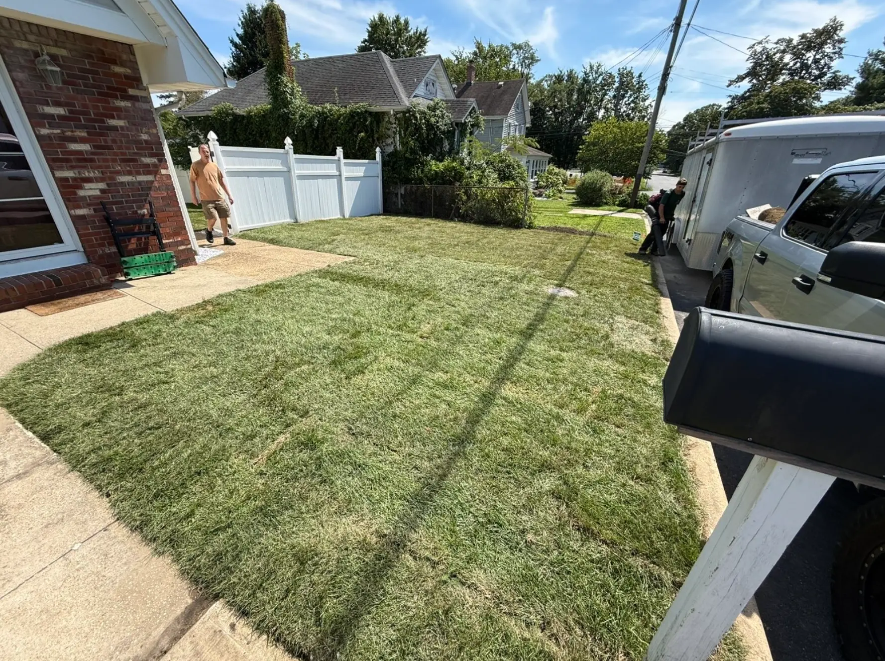 Freshly installed new sod lawn on a residential property