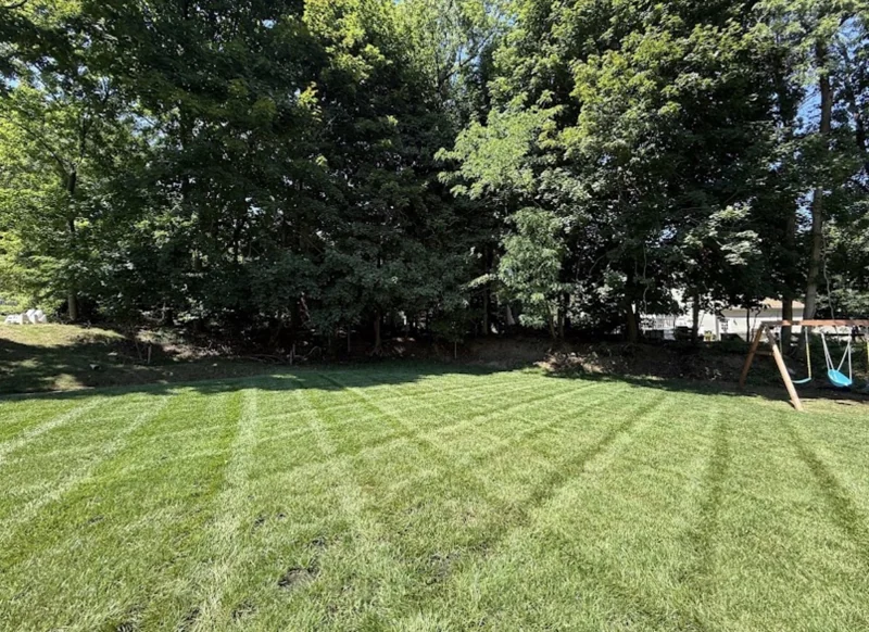 Striped lawn bordered by mature trees