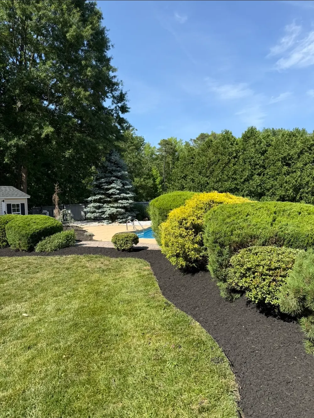Freshly mulched landscape beds with crisp edges surrounding a pool area