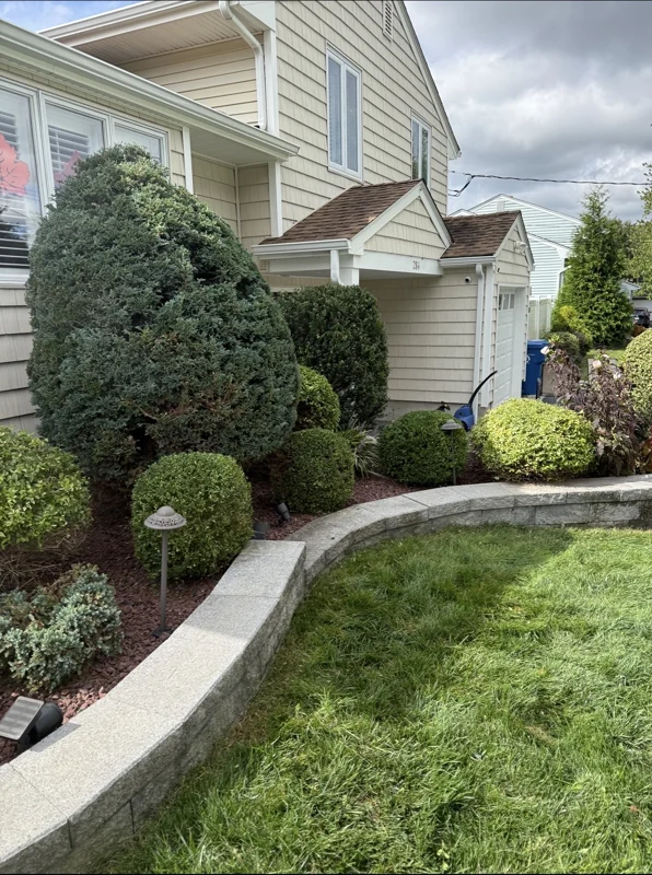 Shaped shrubs and landscape plantings along the front of a home