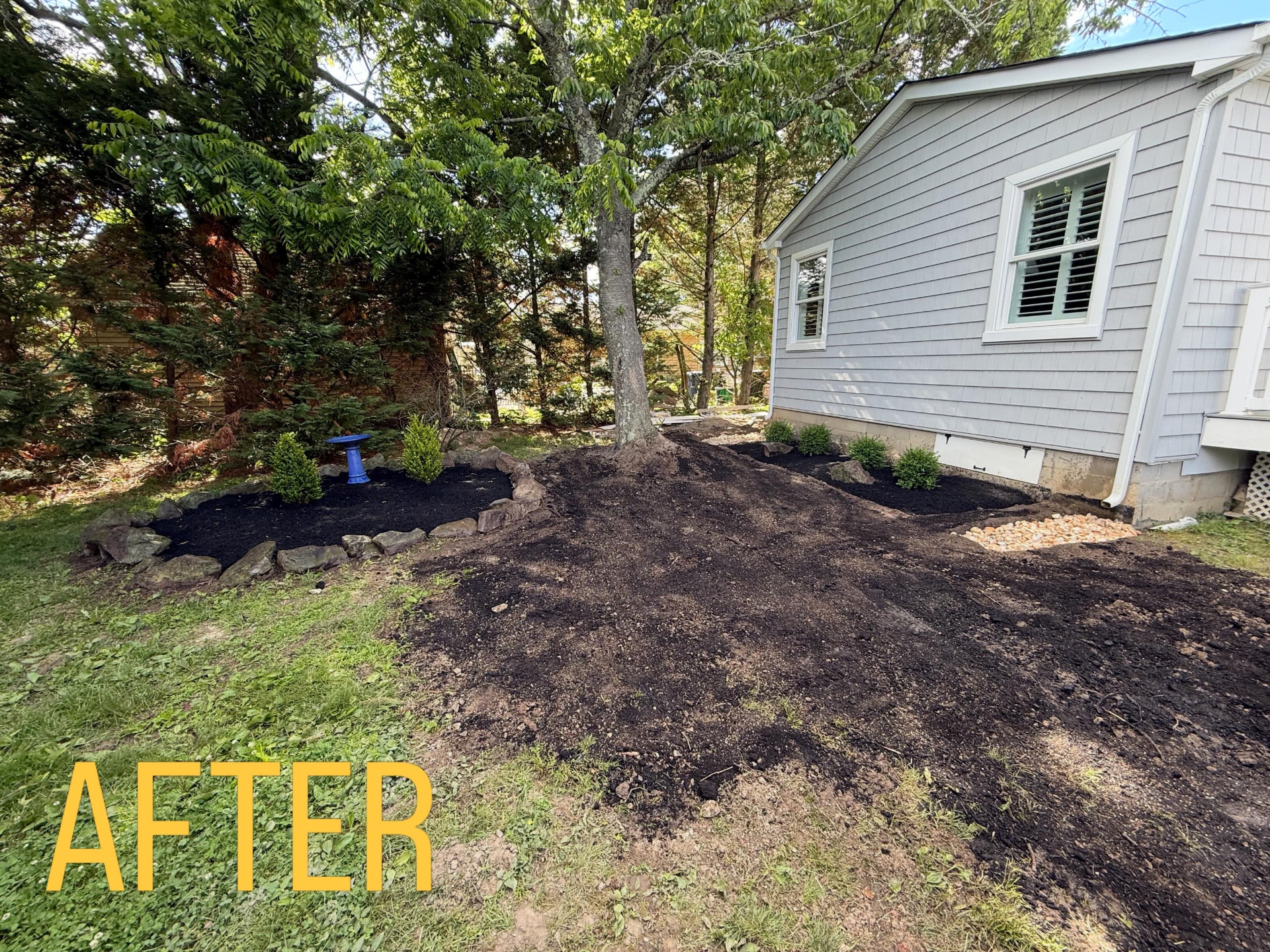 After: renovated side yard with fresh mulch beds, new shrubs, stone borders and a graded lawn area