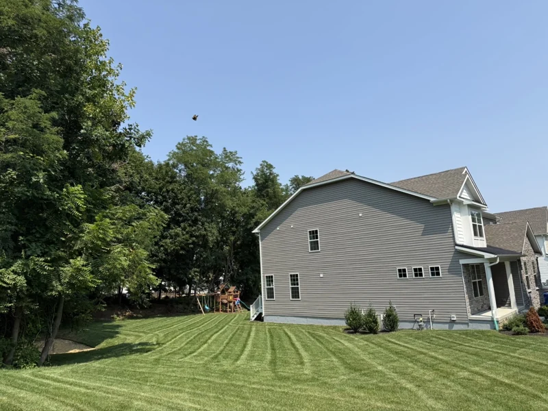 Striped backyard lawn beside a two-story home