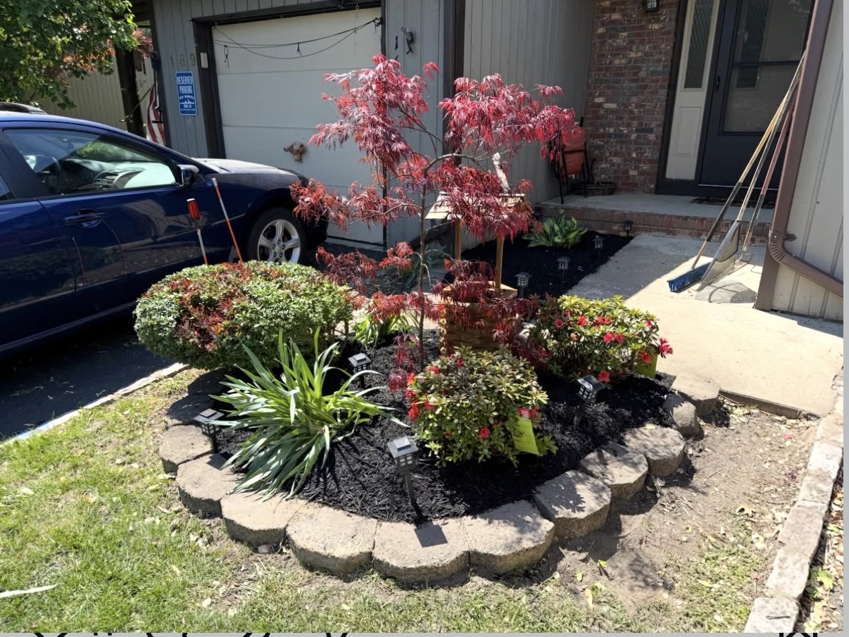 Completed front landscape bed with red ornamental tree, shrubs, black mulch and stone edging