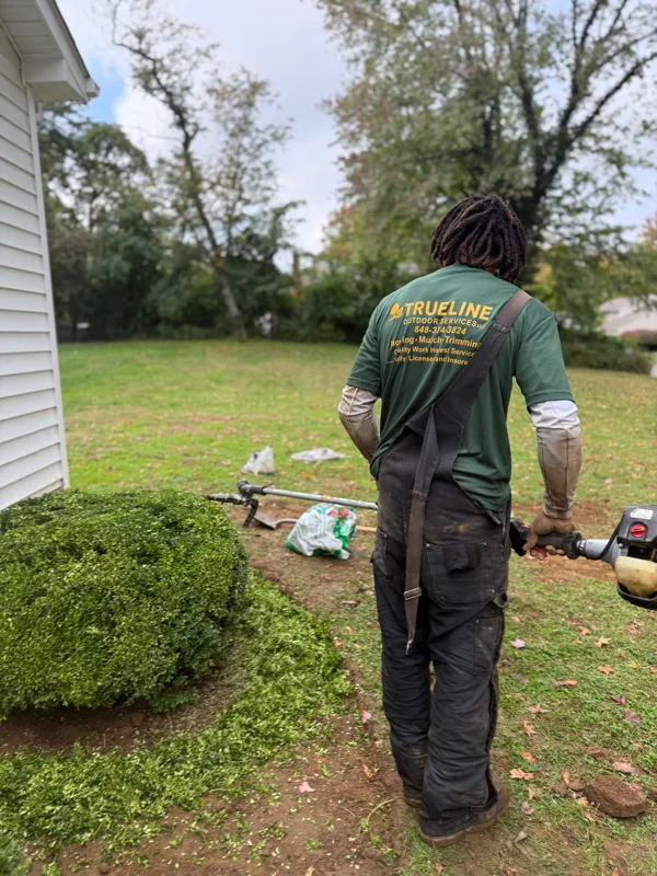 TrueLine crew member trimming shrubs beside a home