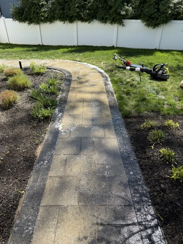 Curved garden path bordered by plants and mulch