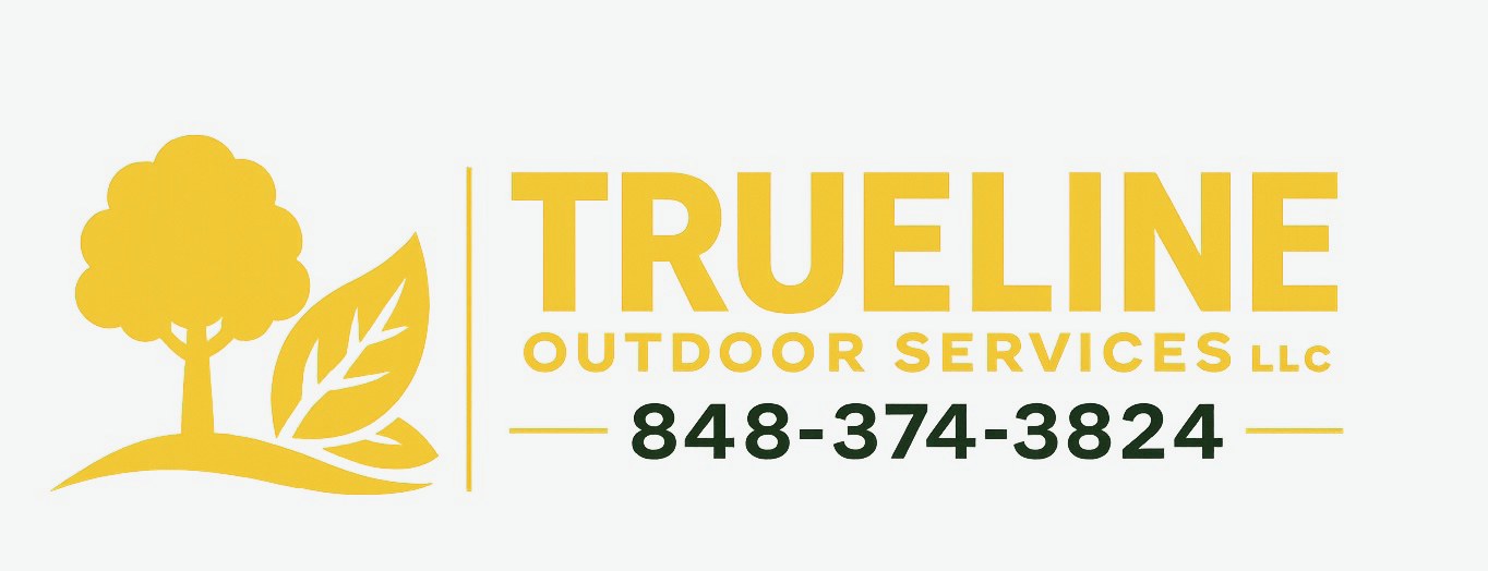 TrueLine Outdoor Services LLC logo