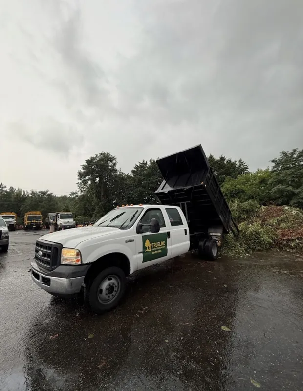 TrueLine dump truck unloading yard debris