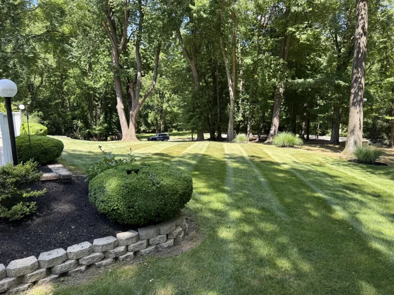 Mowed lawn with a curved retaining wall and shrubs